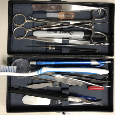 dissecting kit
