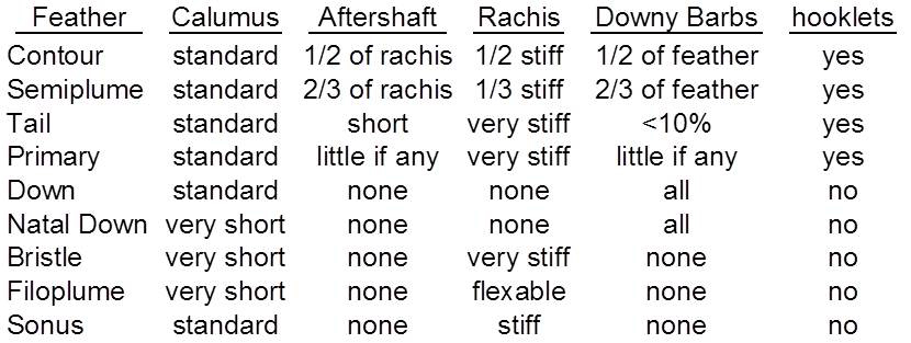 Table 2 Summary of feather attributes