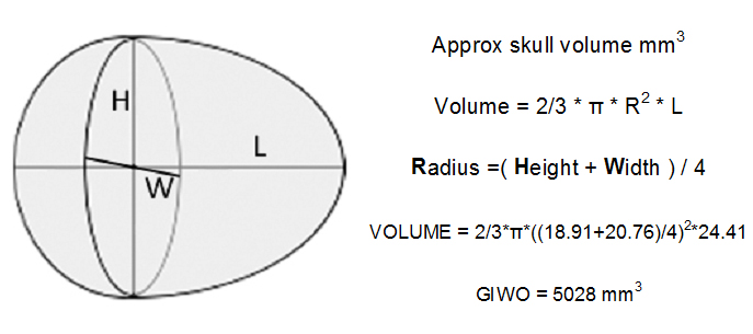 skull volume calculation